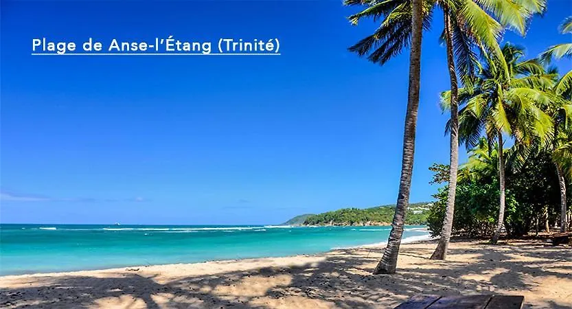 F3 Hibiscus - Piscine Chauffee - Vue Mer - 9 Min De La Plage - Ti Zwezo Paradi La Trinite 0*,  Martinique