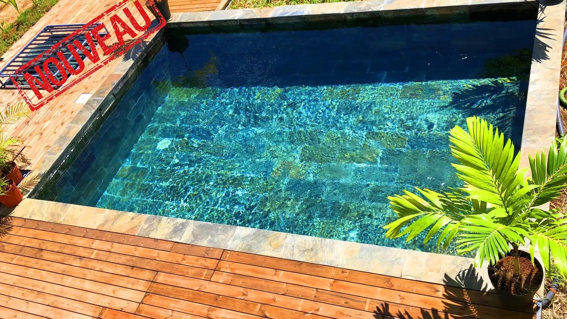 Apartment F3 Hibiscus - Piscine Chauffee - Vue Mer - 9 Min De La Plage - Ti Zwezo Paradi La Trinite