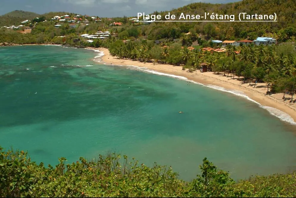 F3 Hibiscus - Piscine Chauffee - Vue Mer - 9 Min De La Plage - Ti Zwezo Paradi La Trinite 0*,