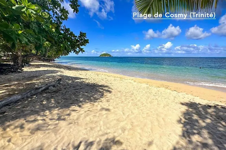 F3 Hibiscus - Piscine Chauffee - Vue Mer - 9 Min De La Plage - Ti Zwezo Paradi La Trinite Martinique